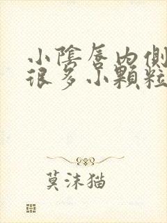 小阴唇内侧长了很多小颗粒怎么办