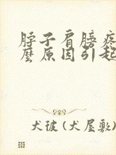 脖子肩膀疼痛什么原因引起的