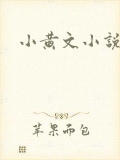 小黄文小说