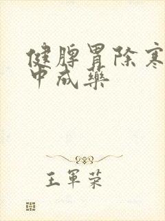 健脾胃除寒湿的中成药