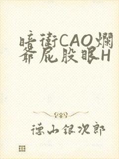 暗卫CAO烂王爷屁股眼H封面