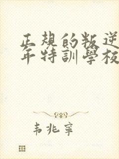 正规的叛逆青少年特训学校