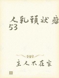 人乳头状瘤病毒53