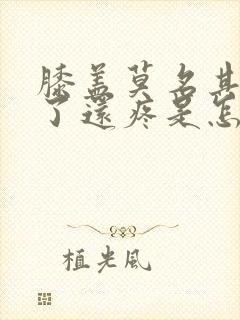 膝盖莫名其妙肿了还疼是怎么回事