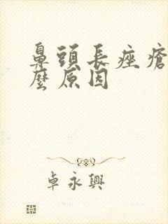 鼻头长痤疮是什么原因