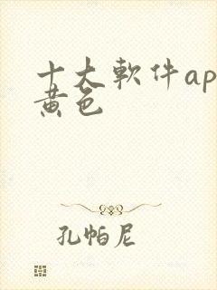 十大软件app黄色