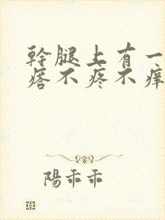 干腿上有一硬疙瘩不疼不痒