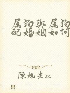 属狗与属狗的相配婚姻如何