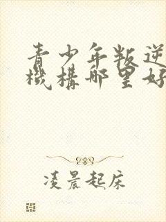 青少年叛逆管教机构哪里好