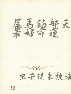 属马的哪天出生最好命运