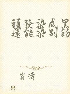 头发染成黑色了还能染别的颜色吗封面