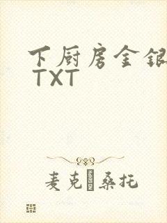 下厨房金银花露 TXT封面