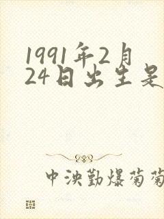 1991年2月24日出生是什么命