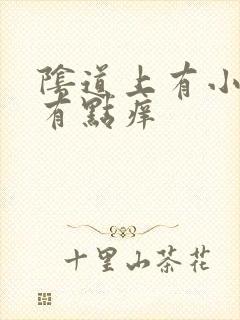 阴道上有小肉芽有点痒