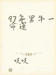 97年男牛一生命运