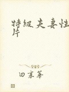 特级夫妻性生活片