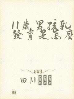 11岁男孩乳房发育是怎么回事