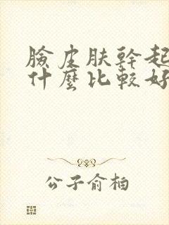 脸皮肤干起皮用什么比较好