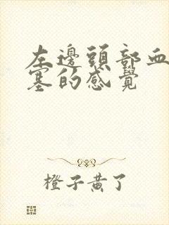 左边头部血管堵塞的感觉