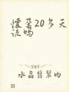 怀孕20多天药流吗