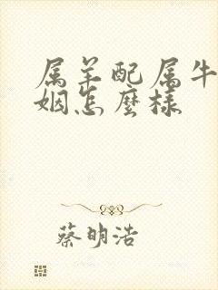 属羊配属牛的婚姻怎么样