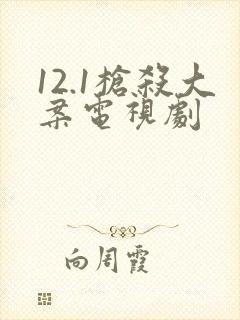 12.1枪杀大案电视剧