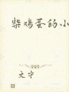柴鸡蛋的小说封面