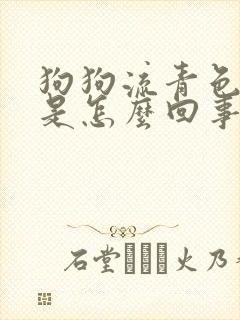 狗狗流青色鼻涕是怎么回事