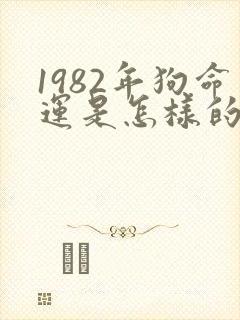 1982年狗命运是怎样的