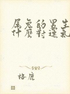 属兔的男生佩戴什么对运气好