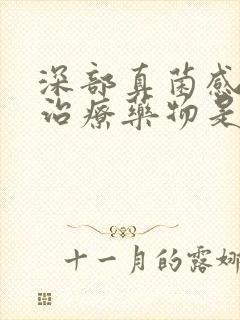 深部真菌感染的治疗药物是