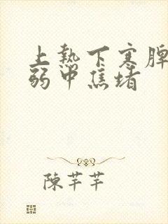 上热下寒脾胃虚弱中焦堵