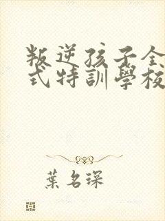 叛逆孩子全封闭式特训学校