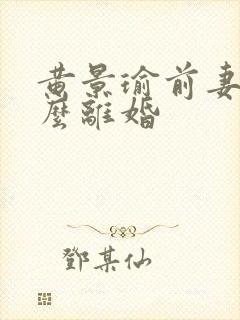 黄景瑜前妻为什么离婚