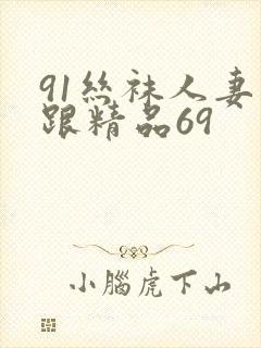 91丝袜人妻高跟精品69