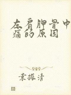 左肩胛骨中间缝痛的原因