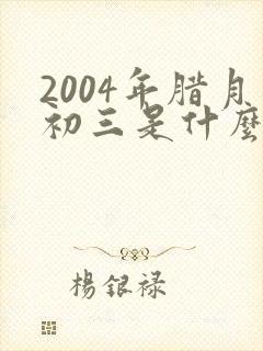 2004年腊月初三是什么命