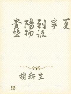 贵阳到宁夏有那些物流