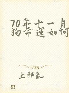 70年十一月的狗命运如何