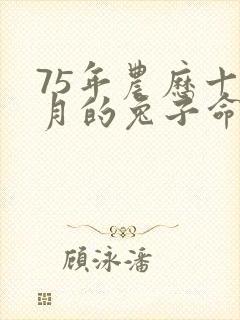 75年农历十一月的兔子命运