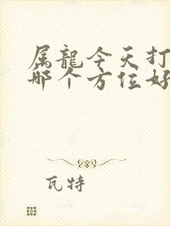 属龙今天打牌坐哪个方位好