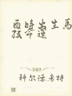 酉时出生马的男孩命运