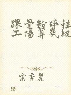 踝骨粉碎性骨折工伤算几级