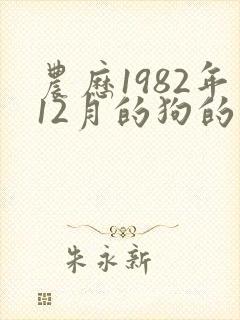 农历1982年12月的狗的命运