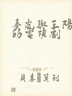 秦岚与王阳主演的电视剧