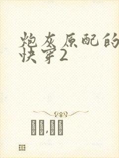 炮灰原配的人生快穿2
