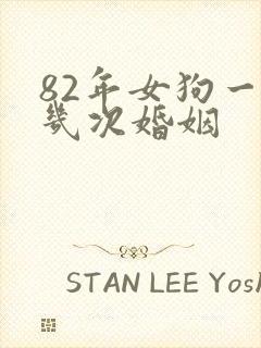 82年女狗一生几次婚姻封面