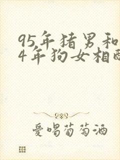 95年猪男和94年狗女相配吗婚姻