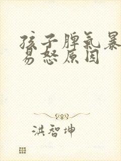 孩子脾气暴躁的易怒原因封面