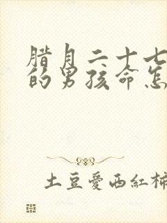 腊月二十七出生的男孩命怎么样